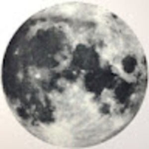 Meet your Posher, Ashlee